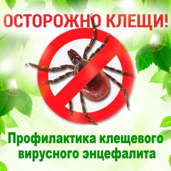 О Всероссийской горячей линии по по профилактике клещевого энцефалита и инфекций, передающихся клещами.