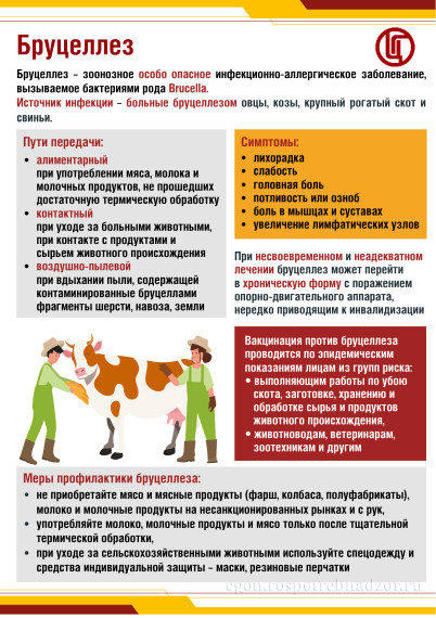 Памятка о профилактике бруцеллеза.